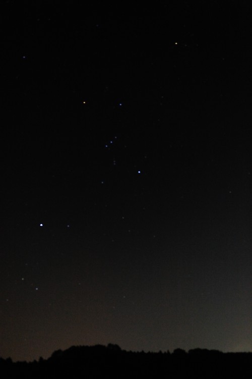 Orion1